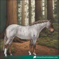 Horse Color:Liver Red Roan Tobiano Rabicano