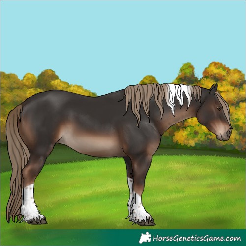 Horse Color:Liver Chestnut Tobiano Rabicano 