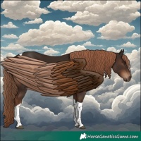 Horse Color:Liver Chestnut Tobiano Rabicano