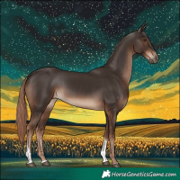 Horse Color:Liver Chestnut Tobiano Rabicano