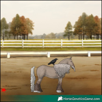 Horse Color:Silver Grullo 