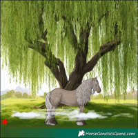 Horse Color:Silver Grullo