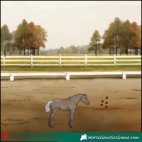 Horse Color:Silver Grullo 