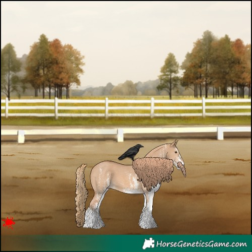 Horse Color:White Spotted Red Dun 