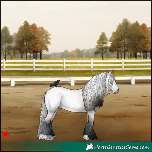 Horse Color:Gray Bay Roan Dun Blanket 