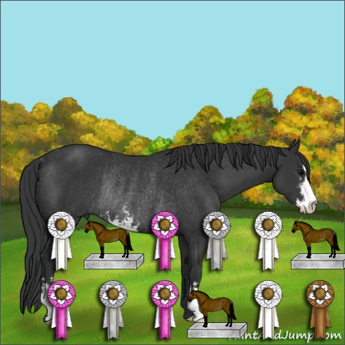 Horse Color:Black Sabino Rabicano