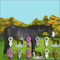 Horse Color:Black Sabino Rabicano