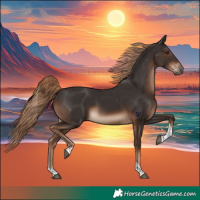 Horse Color:Liver Chestnut Tobiano Rabicano 