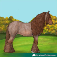 Horse Color:Red Roan 