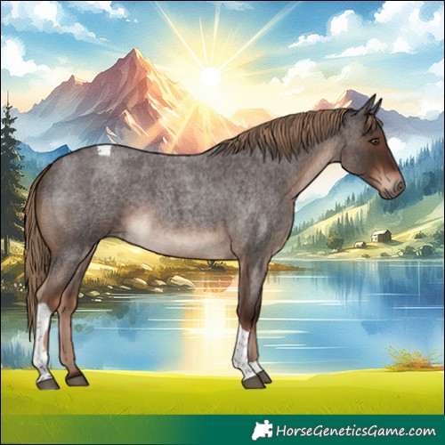 Horse Color:Liver Red Roan Tobiano Rabicano 