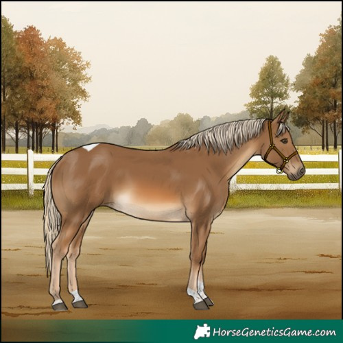Horse Color:Chocolate Palomino Tobiano Rabicano