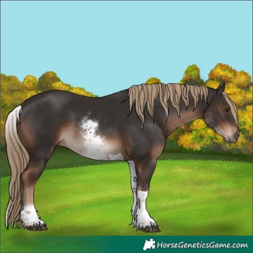 Horse Color:White Spotted Liver Chestnut Tobiano Rabicano 