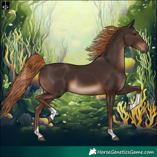 Horse Color:Liver Chestnut Tobiano Rabicano 