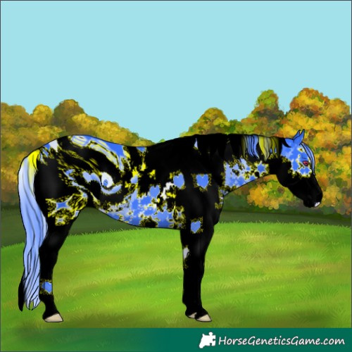 Horse Color:ERROR: UNKNOWN ANOMALY