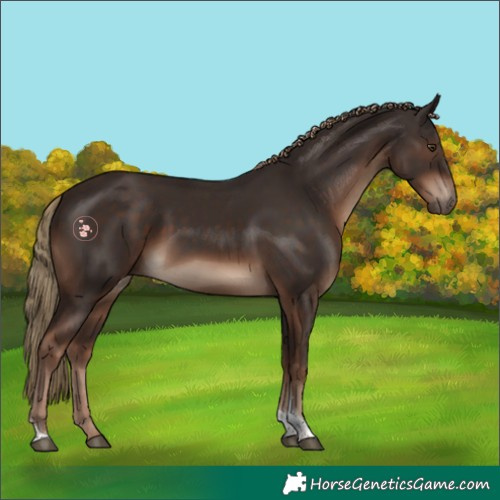 Horse Color:Liver Chestnut Tobiano Rabicano 