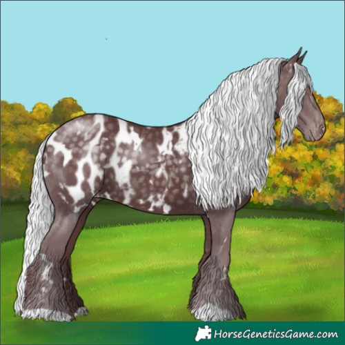 Horse Color:White Spotted Chocolate Silver Smoky Black Chinchilla Appaloosa 