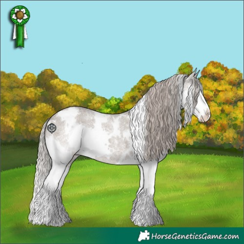 Horse Color:White Spotted Silver Grullo Roan Splash 