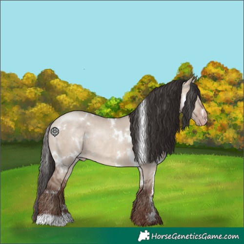 Horse Color:White Spotted Sable Champagne Dun Rabicano 