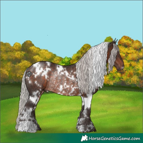 Horse Color:White Spotted Silver Brown Rabicano 
