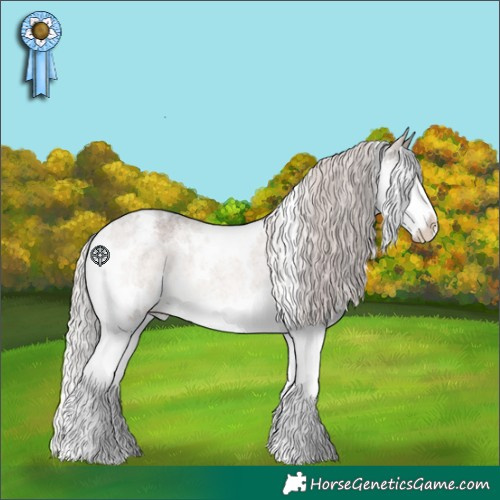 Horse Color:White Spotted Silver Brown Roan Dun Splash Varnish Rabicano 