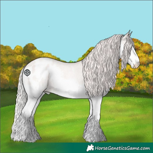 Horse Color:Silver Sable Champagne Roan Dun Sabino Splash Appaloosa 