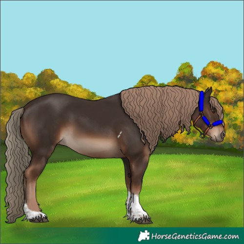 Horse Color:Liver Chestnut Tobiano Rabicano