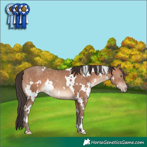 Horse Color:White Spotted Sable Champagne 