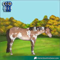 Horse Color:White Spotted Sable Champagne 