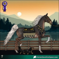 Horse Color:Liver Chestnut Mushroom Tobiano Rabicano