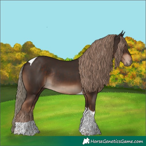 Horse Color:Liver Chestnut Tobiano Rabicano