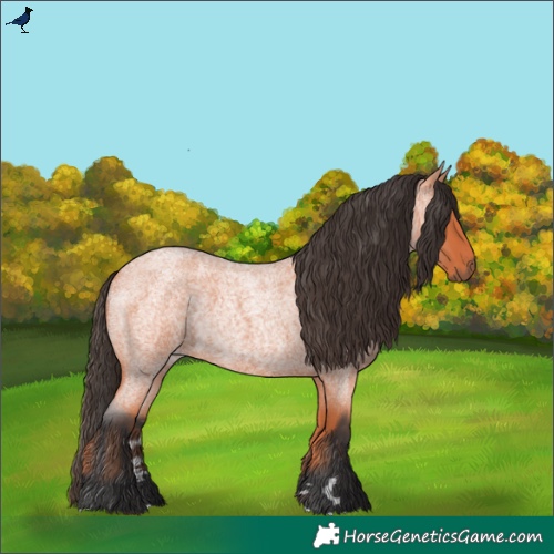 Horse Color:Bay Roan 