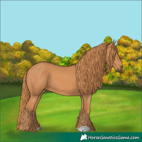 Horse Color:Chestnut 