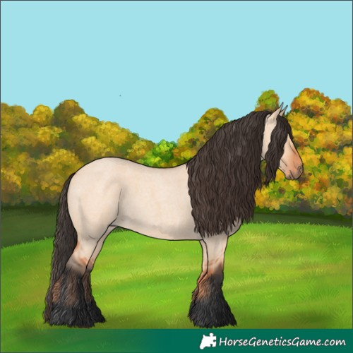 Horse Color:Bay Roan Dun 