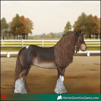 Horse Color:Liver Chestnut Tobiano Rabicano 
