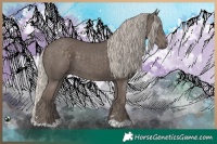 Horse Color:Silver Black
