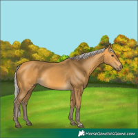 Horse Color:Silver Buckskin 