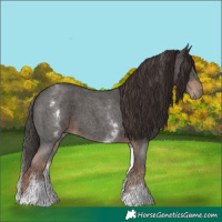 Horse Color:White Spotted Liver Chestnut Sabino 