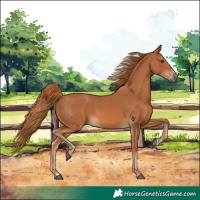 Horse Color:Chestnut 