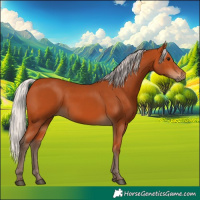 Horse Color:Silver Bay 
