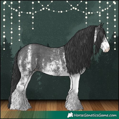 Horse Color:White Spotted Black 