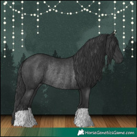 Horse Color:Black Rabicano 