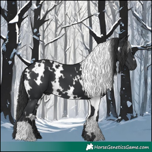 Horse Color:White Spotted Black 