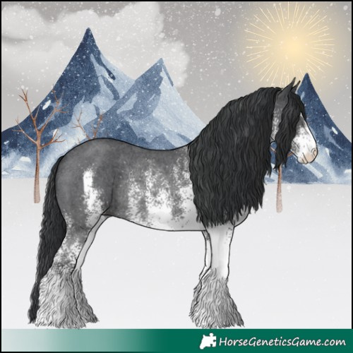 Horse Color:White Spotted Black Rabicano