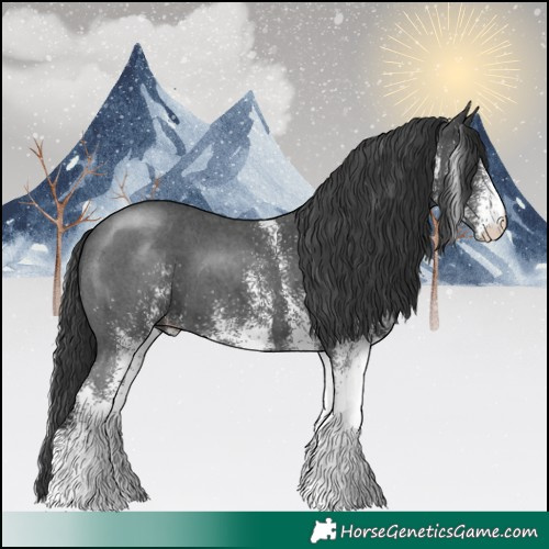 Horse Color:White Spotted Black 