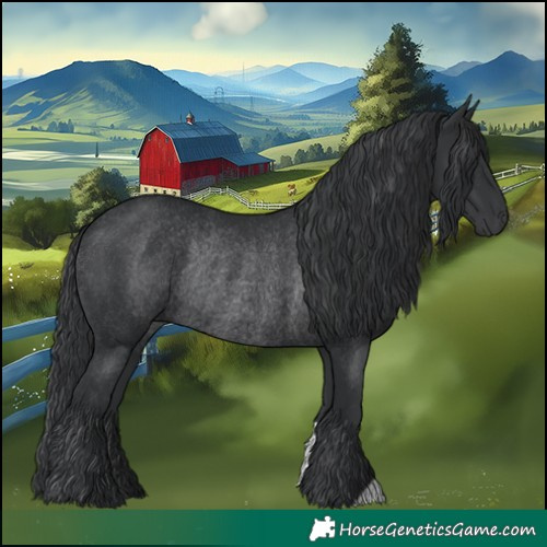 Horse Color:Black Rabicano 