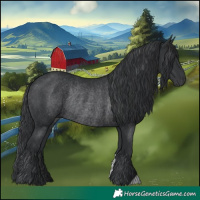 Horse Color:Black Rabicano 