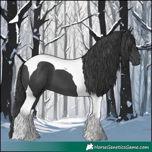 Horse Color:Black Tobiano 