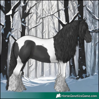 Horse Color:Black Tobiano