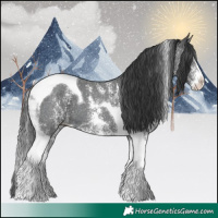 Horse Color:Black Sabino Tobiano 
