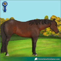 Horse Color:Liver Chestnut 